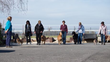 Auslastungstraining / Grundkurs